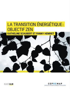 La transition énergétique : Objectif ZEN - Henriet Fanny ; Schubert Katheline