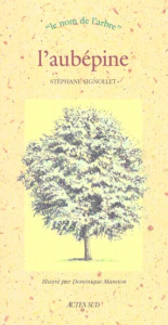 L'aubépine - Signollet Stéphane