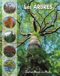 Les arbres - Baillet Christine