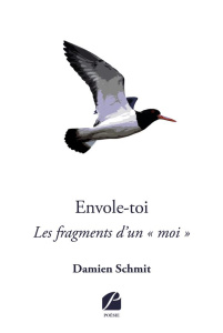 Envole-toi. Les fragments d'un «moi» - Schmit Damien