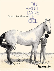 Du bruit dans le ciel - Prudhomme David
