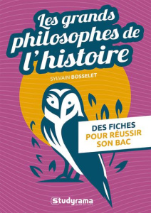 Les grands philosophes de l'histoire. Des fiches pour réussir son bac - Bosselet Sylvain