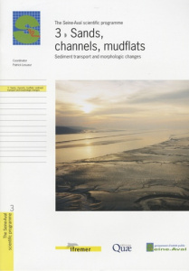 3- SANDS, CHANNELS, MUDFLATS. SEDIMENT TRANSPORT AND MORPHOLOGIC CHANGES. (THE SEINE-AVAL SCIENTIF - LESUEUR PATRICK