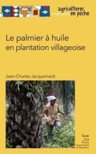 LE PALMIER A HUILE EN PLANTATION VILLAGEOISE - JACQUEMARD JEAN