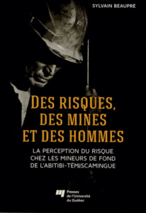 DES RISQUES DES MINES ET DES HOMMES - BEAUPRE SYLVAIN