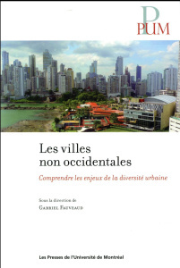 Les villes non occidentales. Comprendre les enjeux de la diversité urbaine - Fauveaud Gabriel