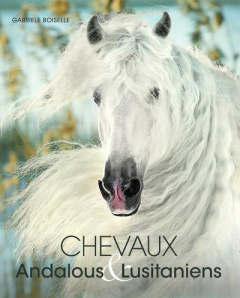 CHEVAUX ANDALOUS ET LUSITANIENS - BOISELLE GABRIELLE