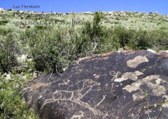 Die petroglyphen vom usektal in kasachstan - Hermann Luc
