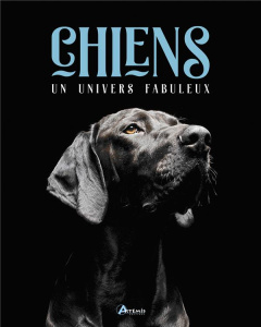 Chiens, un univers fabuleux - Collin Isabelle