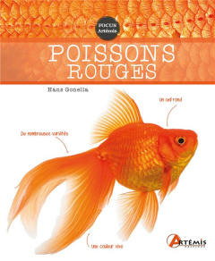 Poissons rouges - Gonella Hans ; Duthoo Aurélie