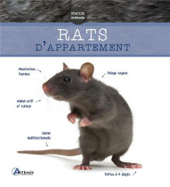 Rats d'appartement - Dietz Petra ; Schneider Eva-Grit ; Duthoo Aurélie