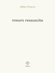 Meurs ressuscite - Prouvost Albane