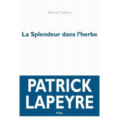 La splendeur dans l'herbe - Lapeyre Patrick