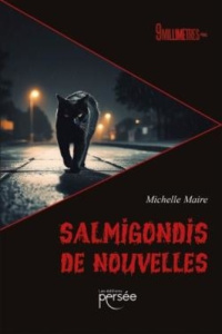 Salmigondis de nouvelles - Maire Michelle