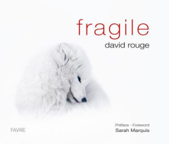Fragile. Edition bilingue français-anglais - Rouge David ; Marquis Sarah