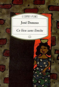 Ce lieu sans limites - Donoso José ; Schulman Aline