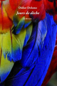 Jours de dèche - Delome Didier