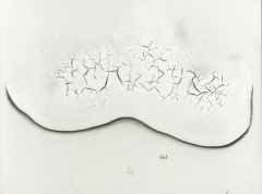 Le gel - L'île - Mérillon Flora ; Bismuth Léa