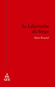 Le labyrinthe du singe - Roussel Alain