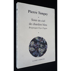 Sous un ciel de chardon bleu : Brignogan pays pagan - Tanguy Pierre ; Kervern Alain