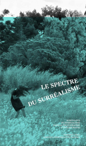 Le spectre du surréalisme. Survivance du surréalisme dans la photographie contemporaine - Amao Damarice ; Ziebinska-Lewandowska Karolina ; P