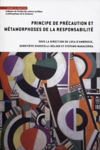 Principe de précaution et métamorphoses de la responsabilité - Ambrosio Luca d' ; Giudicelli-Delage Geneviève ; M
