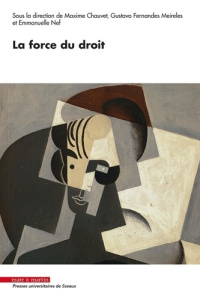 La force du droit - Chauvet Maxime ; Fernandes Meireles Gustavo ; Nef