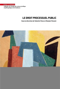 Le droit processuel public - Vince Valentin ; Vincent Romain ; Renaudie Olivier