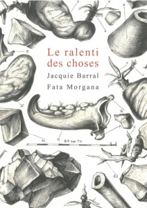 Le ralenti des choses - Barral Jacquie
