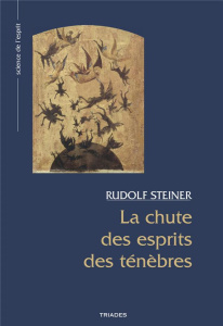 La chute des esprits des ténèbres. 3e édition revue et augmentée - Steiner Rudolf ; Burlotte Raymond ; Gombert Gudula