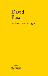 Relever les déluges - Bosc David