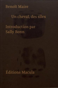 Un cheval, des silex - Maire Benoît ; Bonn Sally