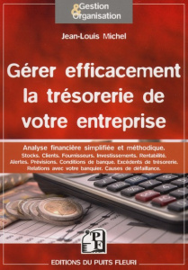 Gérer efficacement la trésorerie de votre entreprise. Analyse, Stocks, Clients, Fournisseurs, Invest - Michel Jean-Louis