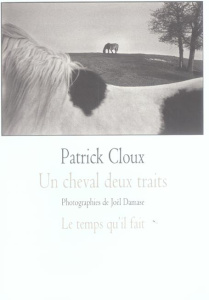 Un cheval deux traits - Cloux Patrick ; Damase Joël