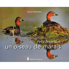 Petit bouchon, un oiseau de marais - Stiévenart Hervé ; Fanal Hugues