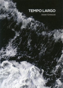 Tempo largo - Greuzat Anne ; Autreppe Emmanuel d'