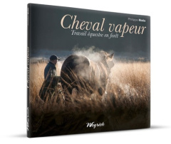 Cheval vapeur - Moës Philippe