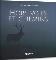 Hors voies et chemins - Lebecque Patrick ; Bauvir Etienne