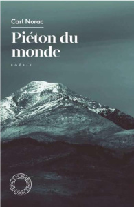Piéton du monde - Norac Carl ; Outers Jean-Luc ; Purnelle Gérald