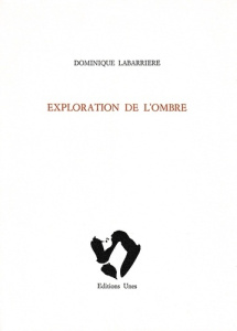 Exploration de l'ombre - Labarrière Dominique
