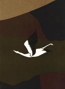 Le pilote de l'edelweiss/3/Coffret avec cale / Walburga et cale - Yann-Hugault