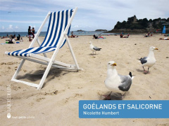 Goélands et salicorne - Humbert Nicolette