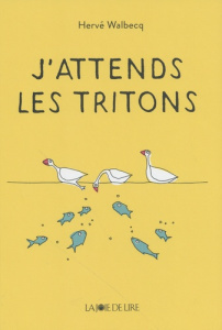 J'attends les tritons - Walbecq Hervé
