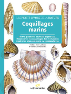 Coquillages marins - Melbeck David ; Dotti Lorenzo