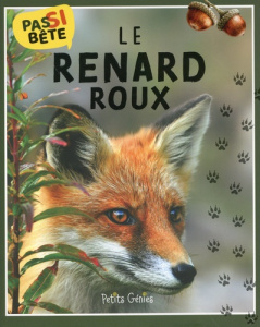Le renard roux - Bonin Pierre-Alexandre