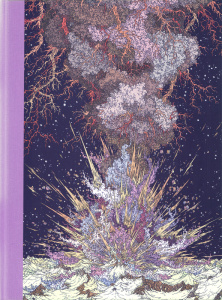 L'année de la comète - Vuillier Clément