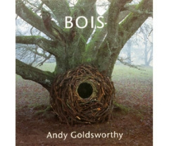 Bois - Goldsworthy Andy