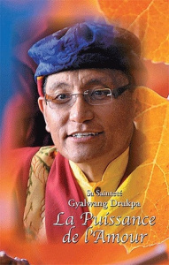 La Puissance de l'amour - XIIE GYALWANG DRUKPA