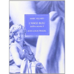 L'ange bleu. Jardins secrets II : 12 artistes in situ - Exposition, hôpital Charles Foix, Ivry-sur-S - Villard Marc ; Pradel Jean-Louis ; Zarand Gyula