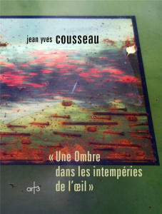 Une ombre dans les intempéries de l'oeil - Cousseau Jean-Yves